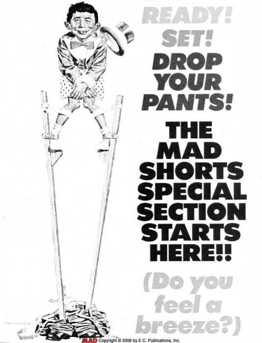 MAD Shorts Special Poster (1989)